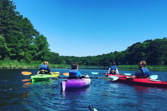 Kayak The Creek Nature Tour - Scorton Creek and Game Creek Conservation: the marsh you came for