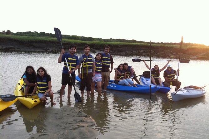 Kayak The Creek Nature Tour - The 2-hour flow: what actually happens on your kayak outing