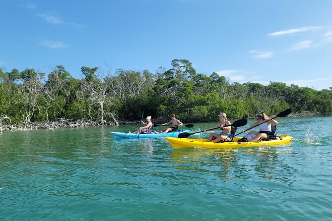 Kayak through Mangrove Forests in the Florida Keys - Key Highlights I’d Bet On