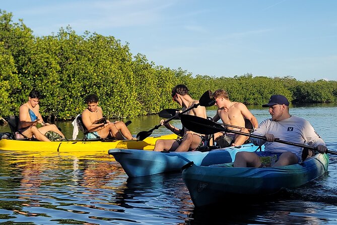 Kayak through Mangrove Forests in the Florida Keys - Where You Paddle: Tavernier Creek and the Florida Keys Outflow