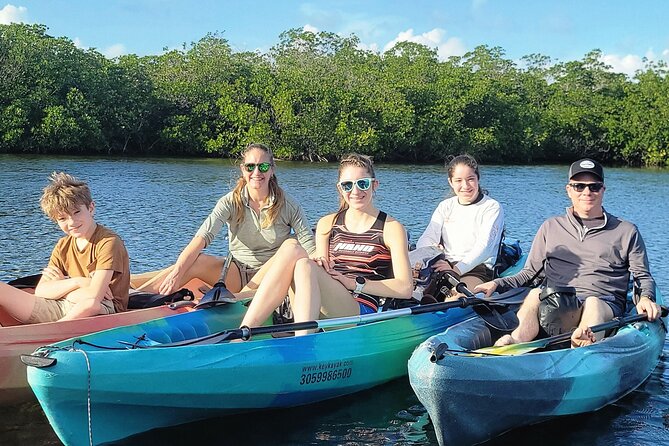 Kayak through Mangrove Forests in the Florida Keys - Why the Guide Matters: Learning the Mangroves Instead of Just Paddling Through Them