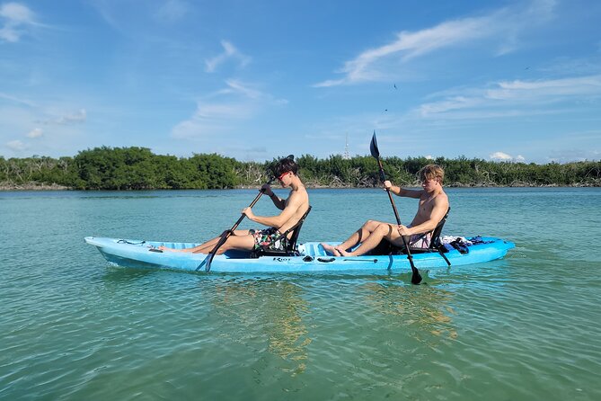 Kayak through Mangrove Forests in the Florida Keys - Pacing and Workout Level: Peaceful Tunnels with a Return That Works Your Arms