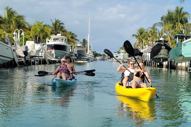 Kayak through Mangrove Forests in the Florida Keys - Price and Value: $65 for Gear, Small-Group Guidance, and a Real Habitat Experience