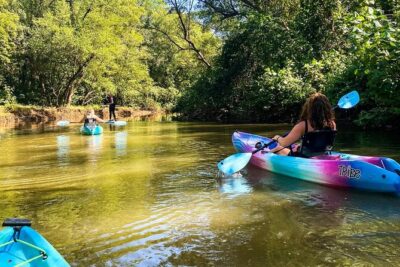 Kayak Through the Mangroves - Paddling Through Mangroves: Birds, Waves, and Quiet Work