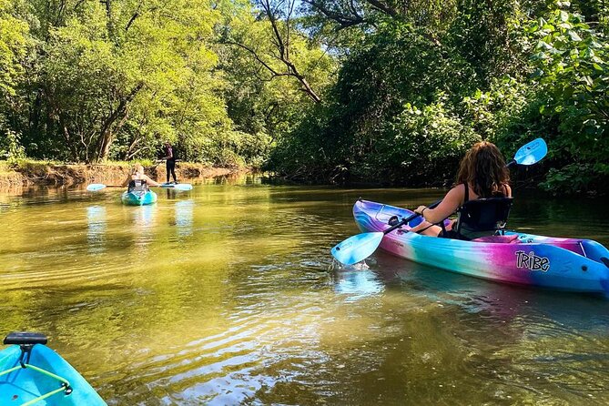 Kayak Through the Mangroves - Paddling Through Mangroves: Birds, Waves, and Quiet Work