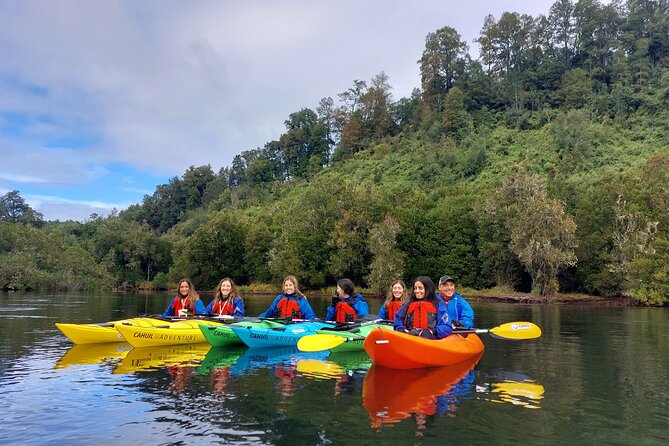 Kayak through the Sunken Forest of the Maullín River - Entering the Maullín River’s sunken forest