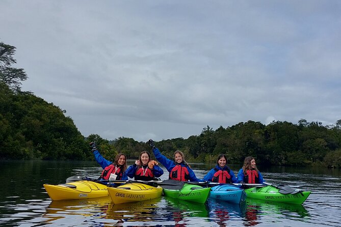 Kayak through the Sunken Forest of the Maullín River - Kayak skills and safety that feel grounded