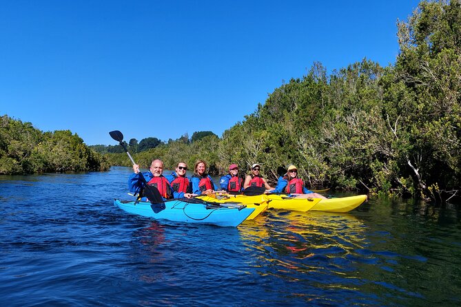 Kayak through the Sunken Forest of the Maullín River - Small logistics that change your experience