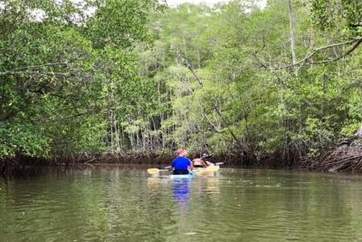 Kayak to the Heart of the National Park - The short kayak lesson that prevents the usual beginner chaos