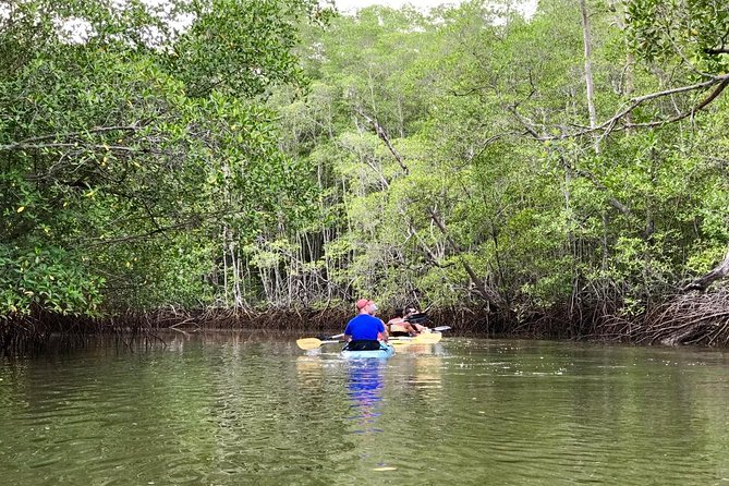 Kayak to the Heart of the National Park - The short kayak lesson that prevents the usual beginner chaos