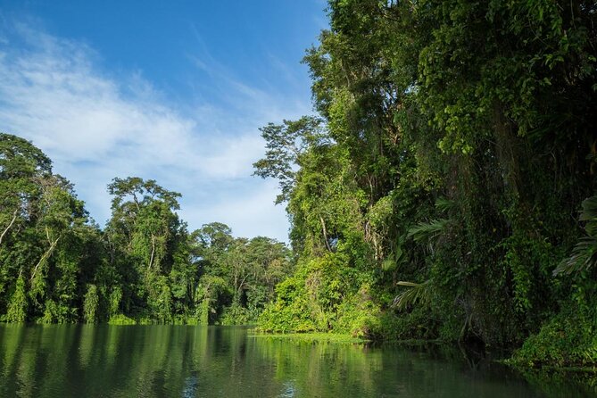 Kayak Tour - Key things to know before you paddle