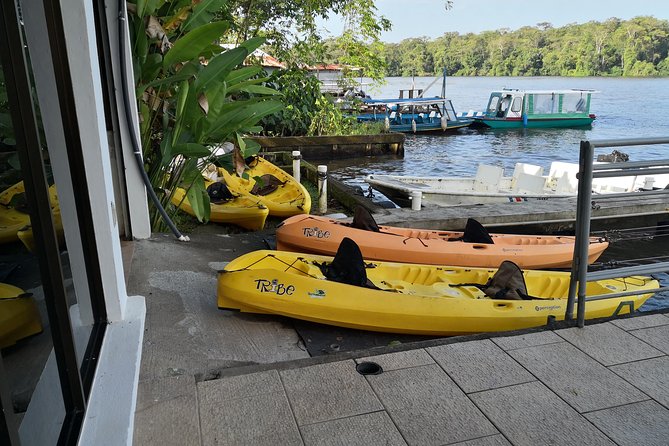 Kayak Tour - Tortuguero from 6:00am: why that early start matters