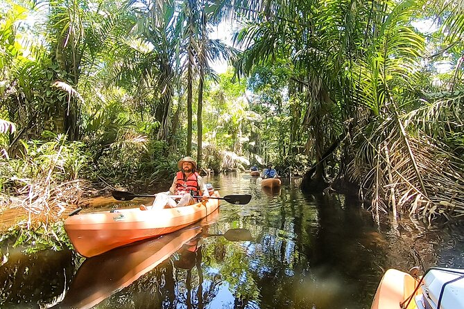 Kayak Tour - What’s included in the $45 price (and what isn’t)