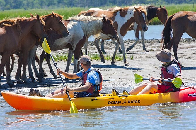 Kayak Tour along Assateague & Chincoteague Island, Virginia - Key points I’d plan around