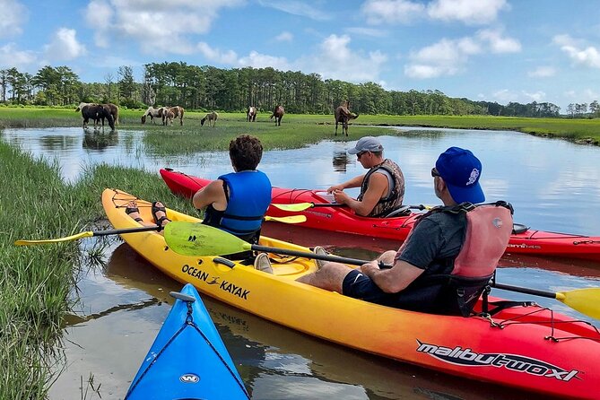 Kayak Tour along Assateague & Chincoteague Island, Virginia - Why this kayak route matters: Assateague to Chincoteague Refuge
