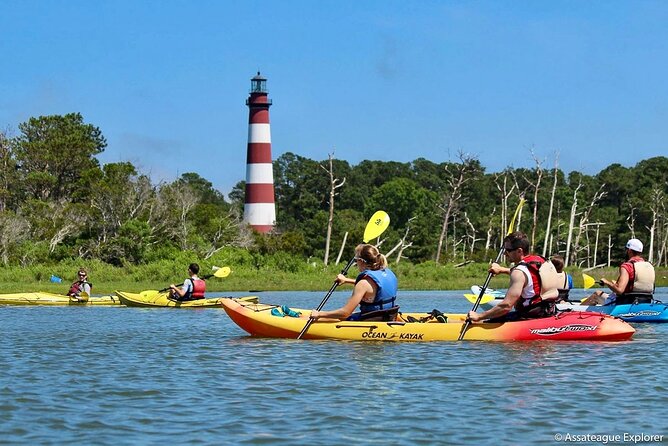 Kayak Tour along Assateague & Chincoteague Island, Virginia - Stop 2 inside Chincoteague National Wildlife Refuge: migratory birds and more