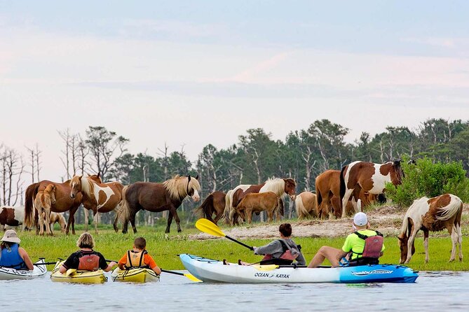 Kayak Tour along Assateague & Chincoteague Island, Virginia - Kayaks, crew, and group size for a 2.5-hour trip