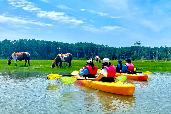 Kayak Tour around Chincoteague and Assateague Islands - Key highlights you’ll feel on the water