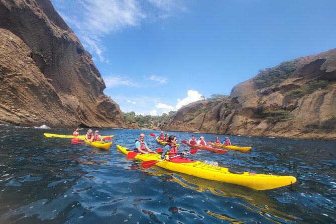 Kayak Tour at Calanques National Park (Ciotat) - Price and value: is $82.18 a good deal?