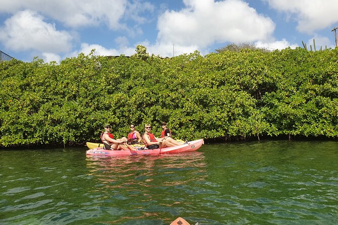 Kayak Tour at Mangel Halto and Spanish Lagoon - Kayaking Mangel Halto: Aruba’s Coast You Can Actually Reach
