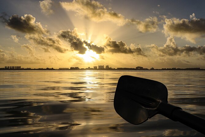 Kayak Tour at Sunset in Cancun - How challenging is this really? Current, effort, and kids