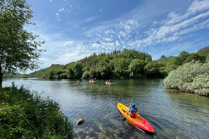KAYAK TOUR: Descend the Beautiful Lima River - Price and value: why $150.85 can make sense for a guided river day