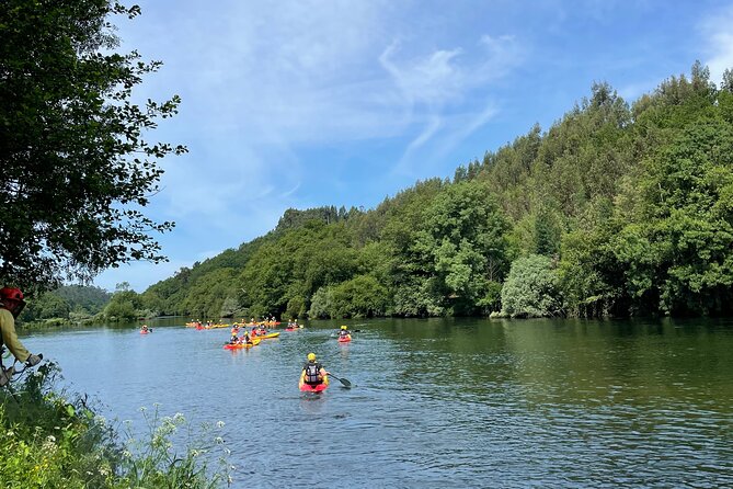 KAYAK TOUR: Descend the Beautiful Lima River - Should you book Descend the Beautiful Lima River?