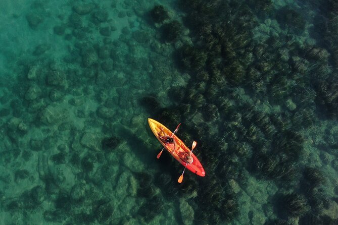 Kayak Tour: From Cala Manbrù to Torre Salsa Reserve - Key highlights to know before you book
