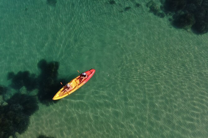 Kayak Tour: From Cala Manbrù to Torre Salsa Reserve - Kayaking Torre Salsa: that 6km sea time you’ll remember