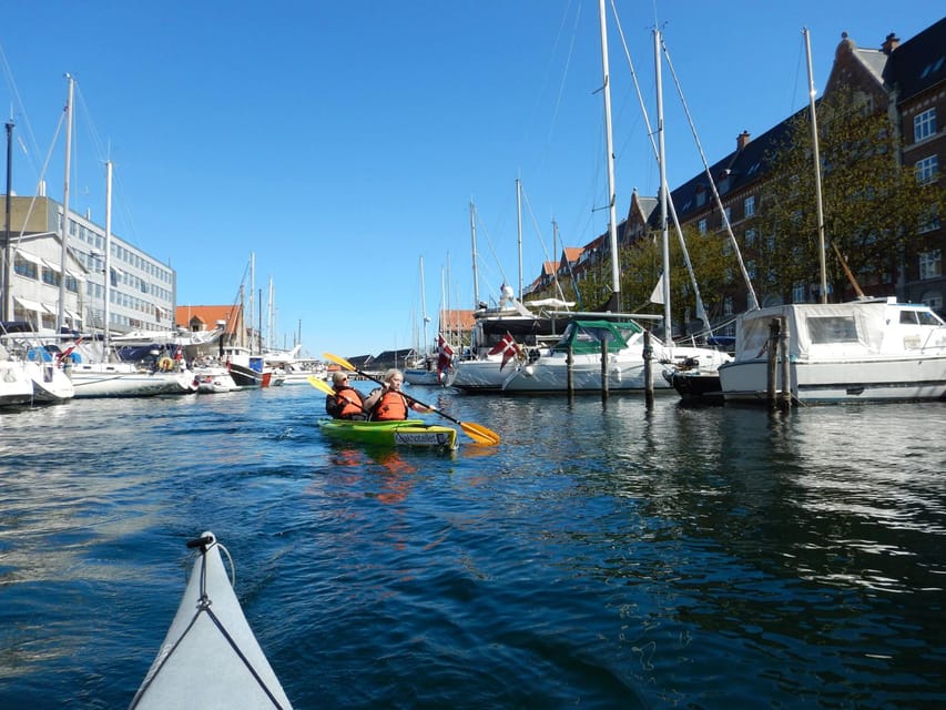 Kayak Tour in Copenhagen Harbor - June, July and August - Kayak basics: stable doubles, solo options, and what beginners should do first