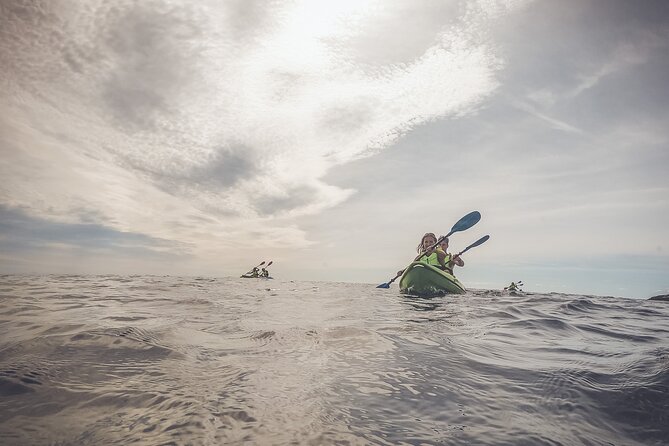 Kayak tour in Pula to Valley of Tears/free drinks+photos included - Should you book this kayak tour in Pula?