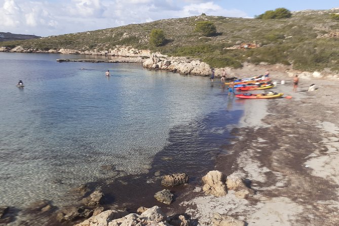 Kayak Tour in the Marine Reserve ! - 3 Hours on the Water: A Real Workout, But Not a Hardcore Mission