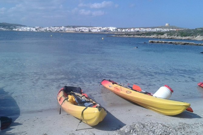 Kayak Tour in the Marine Reserve ! - Drinks, Snacks, and Stop Count: Small Differences That Matter