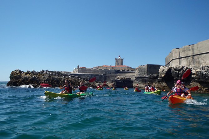 Kayak Tour of Lisbon - Oeiras Harbor Start: Gear Up and Learn Fast