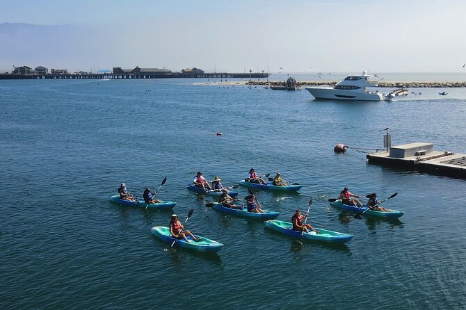 Kayak Tour of Santa Barbara with Experienced Guide - Entering The Water At West Beach (Harbor View Inn Area)