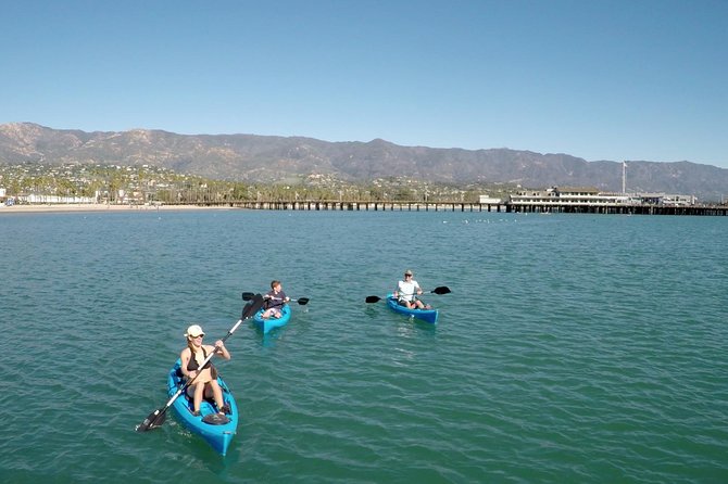 Kayak Tour of Santa Barbara with Experienced Guide - What You’ll See From The Water: Seals, Dolphins, and Pier Life