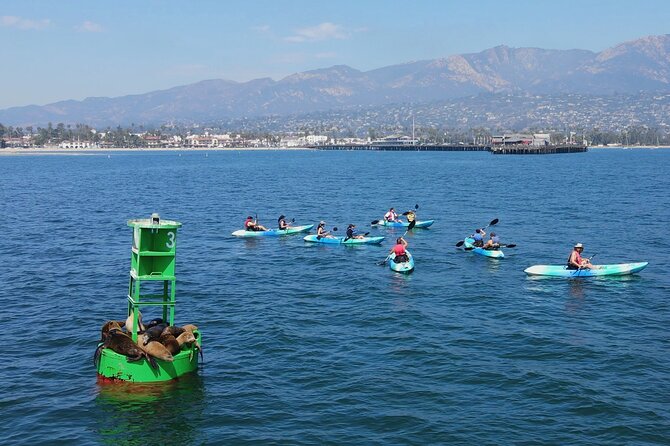 Kayak Tour of Santa Barbara with Experienced Guide - Price and Value: Why $55 Feels Fair for a Guided Day