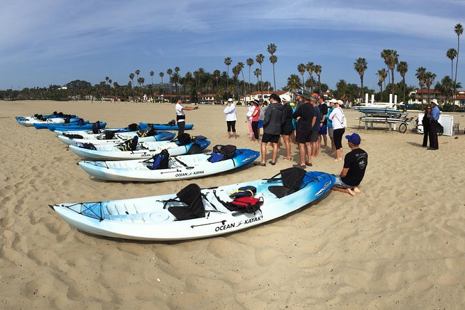 Kayak Tour of Santa Barbara with Experienced Guide - The Day-Of Reality: What Can Affect Your Time