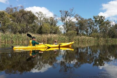 Kayak Tour on the Canning River - Paddling Upstream in the Canning Regional Park
