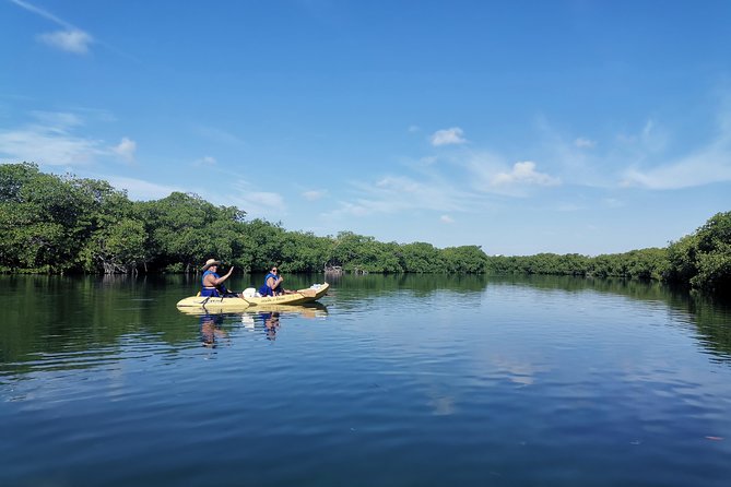 Kayak TOUR POR Laguna Nichupte Cancun - Mosquitoes and Sun: Your Checklist Before You Go