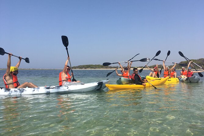 Kayak Tour: Porto Cesareo and the Marine Protected Area - Key highlights at a glance