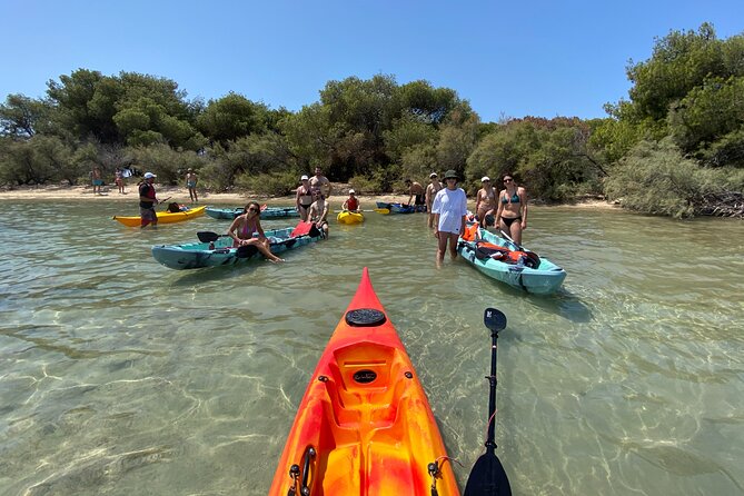 Kayak Tour: Porto Cesareo and the Marine Protected Area - What you’re likely to see: fish, turtles, and the guide’s scanning skills