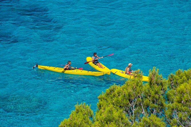Kayak Tour to Malgrat's Islands from Santa Ponsa - Malgrats Islands Natural Reserve: reefs, marine life, and protected-water vibes