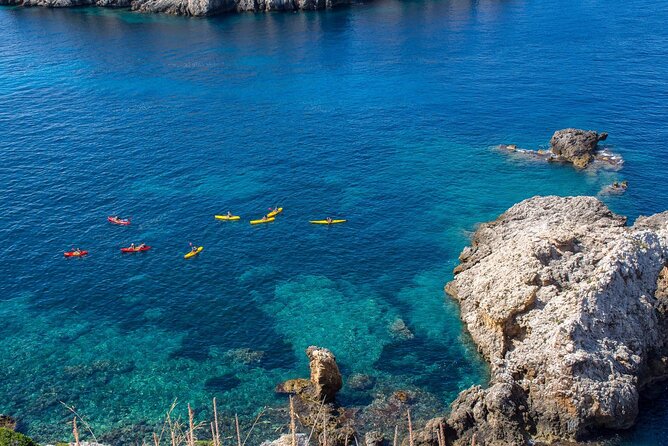 Kayak Tour to Malgrat's Islands from Santa Ponsa - The guide experience: helpful spotting vs. light narration
