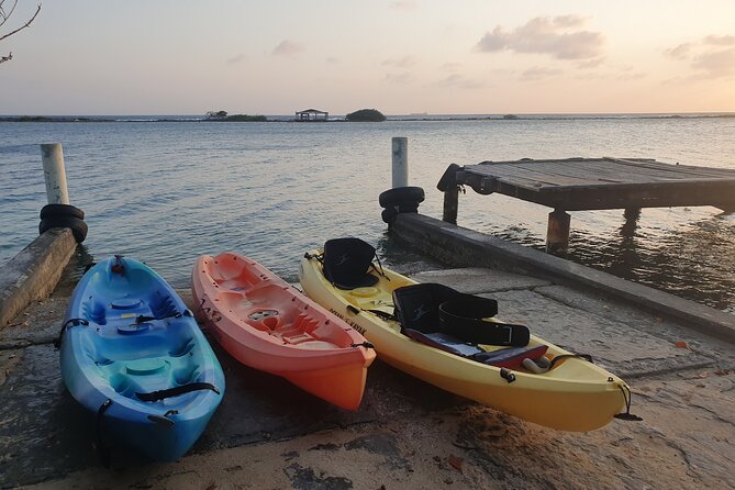 Kayak Tour to Seaglass Island - What the Guide Actually Adds (It’s Not Just Rowing)