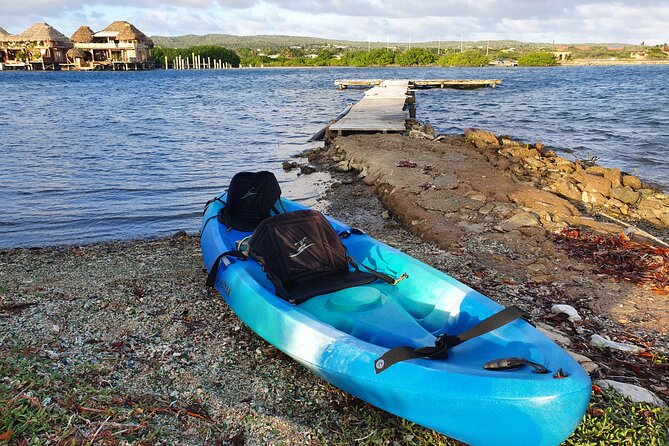 Kayak Tour to Seaglass Island - Timing Tips: How To Pick a Slot That Fits Your Day
