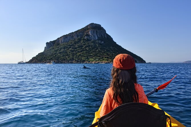 Kayak tour with aperitif and dolphins - Key Things That Make This Trip Worth Your Time