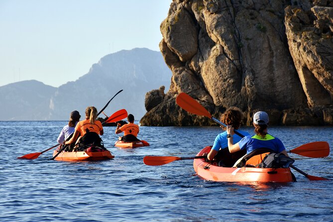 Kayak tour with aperitif and dolphins - Starting Point: From Golfo Aranci to Cala Moresca by Kayak