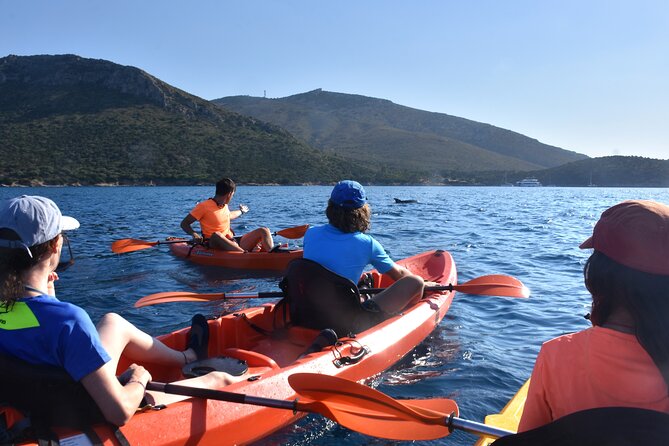 Kayak tour with aperitif and dolphins - Cala Moresca Stop: Swim Break and Snorkeling Over Starfish-Style Seabeds