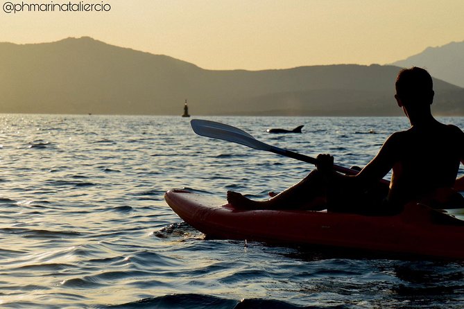 Kayak tour with aperitif and dolphins - Cruising Toward Figarolo: Remote Coves, Birds, and Wild Boars